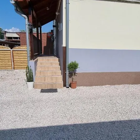 Guest house Joy 3*