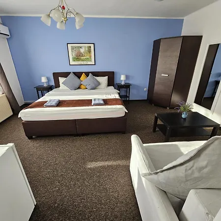 Joy Guest house 3*