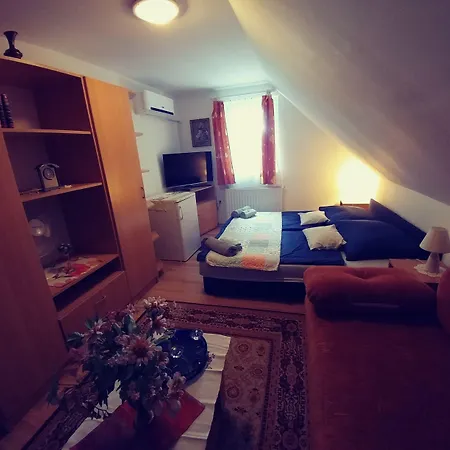 Guest house Joy