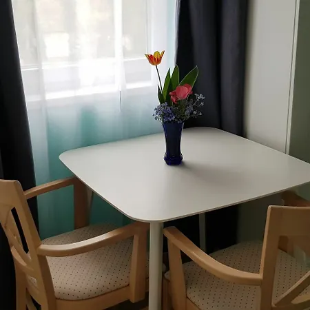 Guest house Joy 3*